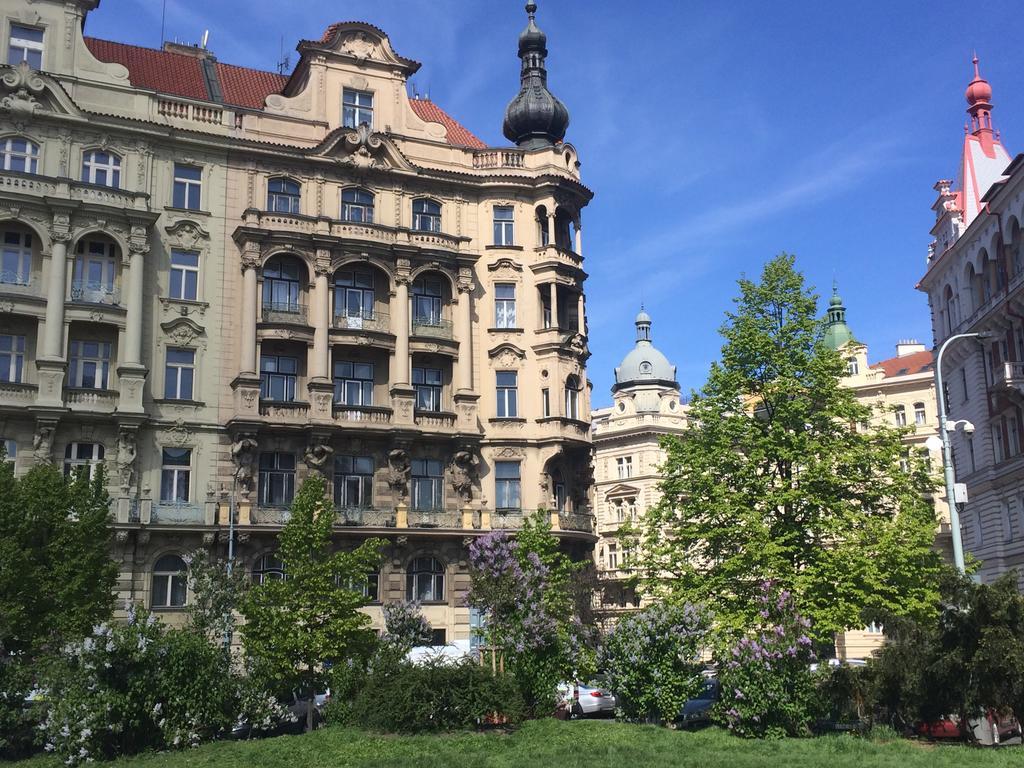 Historic Centre-spacious Appartement